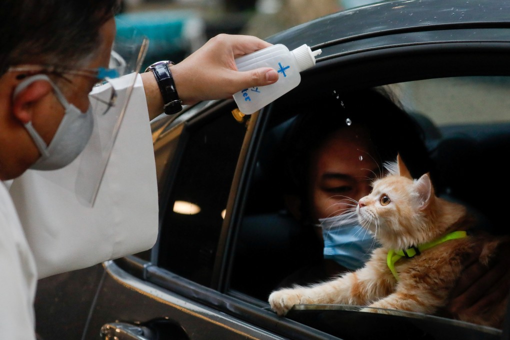 A Catholic priest sprinkles holy water on a cat at a drive-through pet blessing in Manila on October 4, 2020. Photo: Reuters
