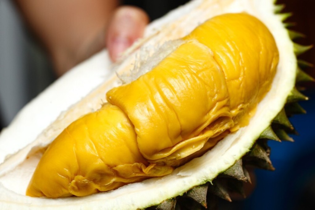 Musang King durian is also known as ‘Mao Shan Wang’ or ‘Sleeping Cat’ after the shape of the freshly opened fruit. Photo: Handout