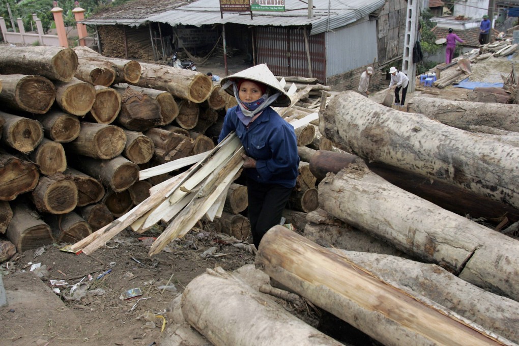 The US has launched two trade probes against Vietnam for the use of timber that has been allegedly illegally harvested or traded, and currency manipulation. Photo: AFP