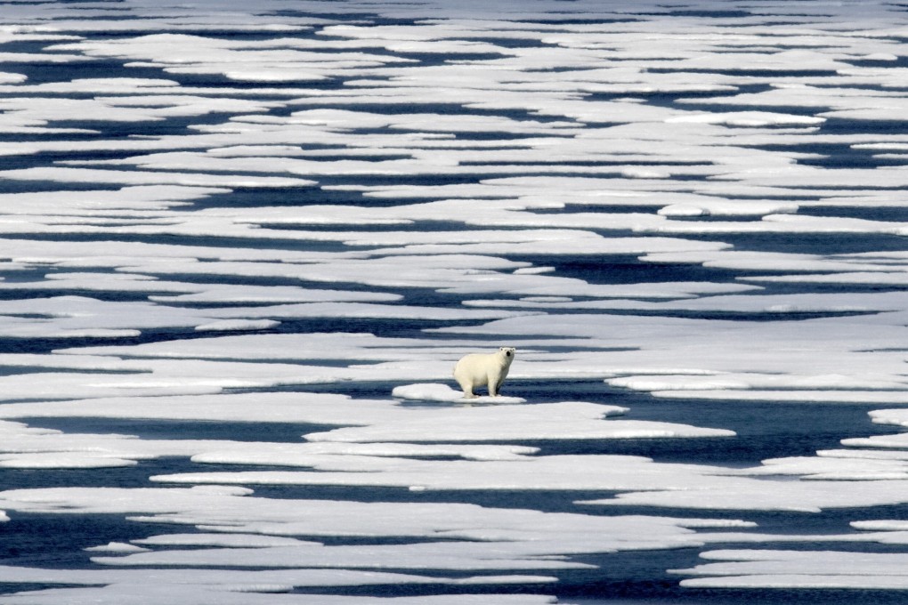 The Arctic plays a key role in the global ecosystem and experts hope that the research will shine a light on climate change. Photo: AP