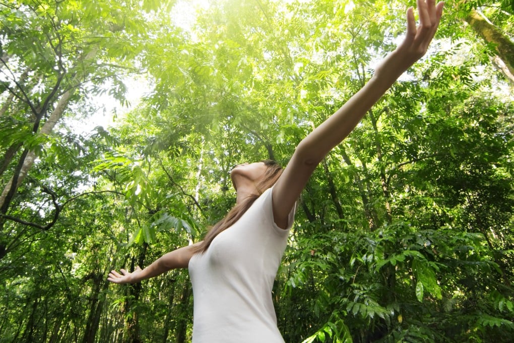 Open yourself up to your surroundings, on a forest walk or on city streets, and focus intently on what you see, hear and feel, and you will quickly feel the benefits - a sense of wonder and awe, of compassion and gratitude – a recent scientific study suggests. Photo: Shutterstock