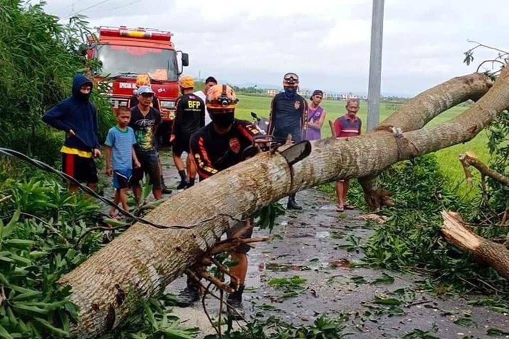 Workers clear a toppled tree in Albay province, Philippines. Photo: EPA-EFE