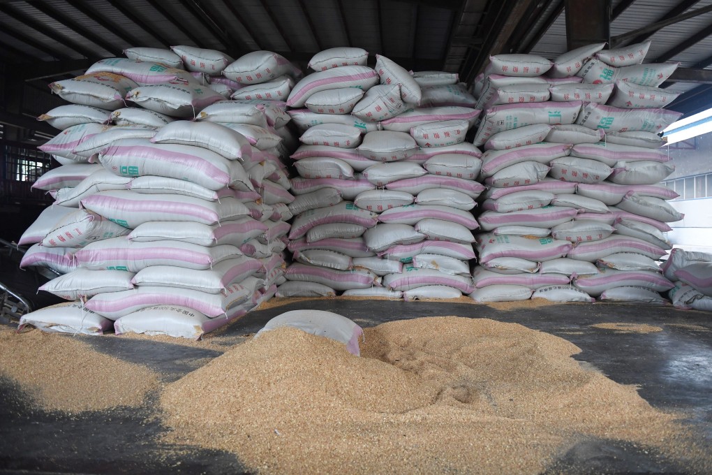 Soybeans are a key source of protein for animal feed in China. Photo: AFP