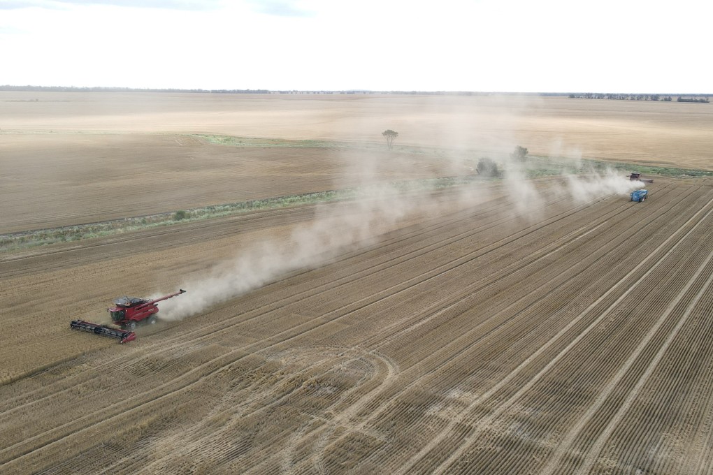 The value of Australian wheat exports to China rose to over A$560 million (US$394 million) in the year to June, according to the Australian Bureau of Statistics. Photo: Reuters