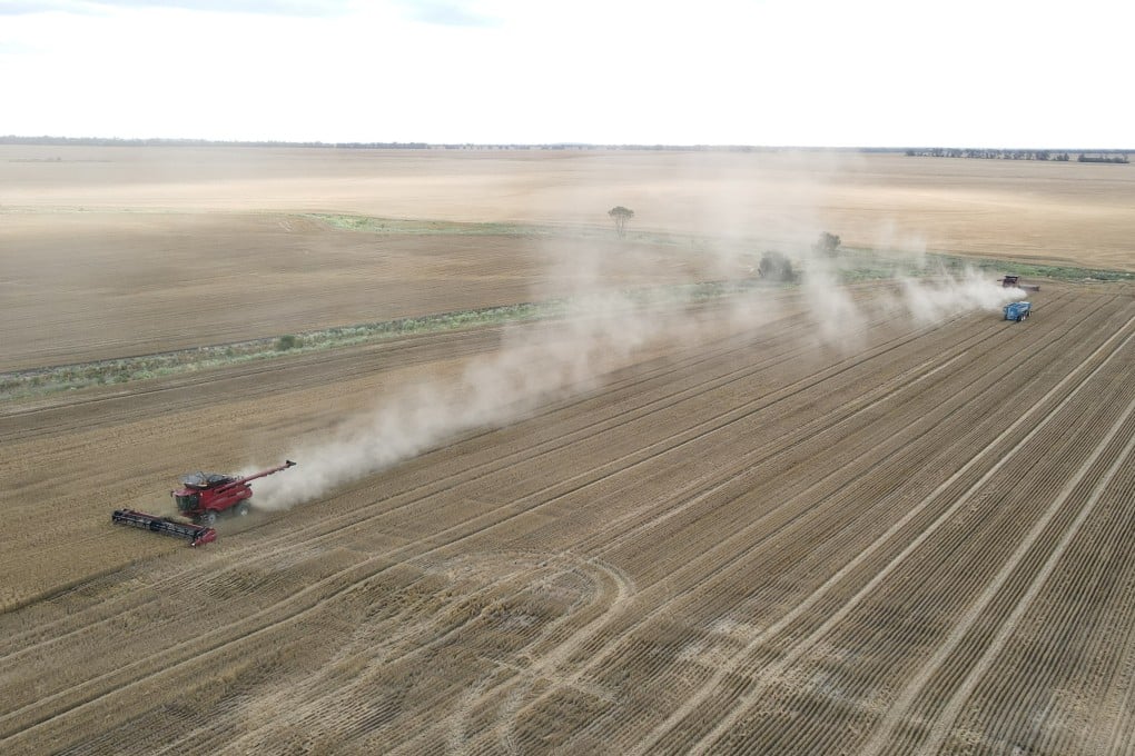 The value of Australian wheat exports to China rose to over A$560 million (US$394 million) in the year to June, according to the Australian Bureau of Statistics. Photo: Reuters