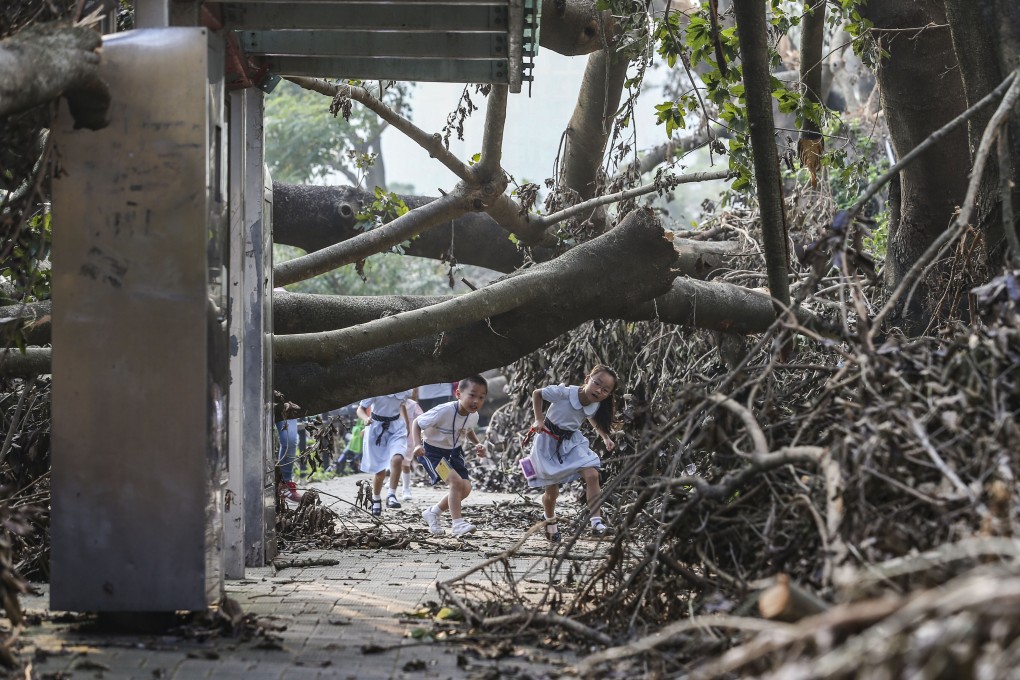 Hong Kong children make their way through trees felled by Typhoon Mangkhut, in Sheung Shui on September 20, 2018. Typhoon Mangkhut, which required the signal No 10 to stay in place for 10 hours on September 16, was the most powerful storm to hit the city since records began in 1946. Photo: Sam Tsang