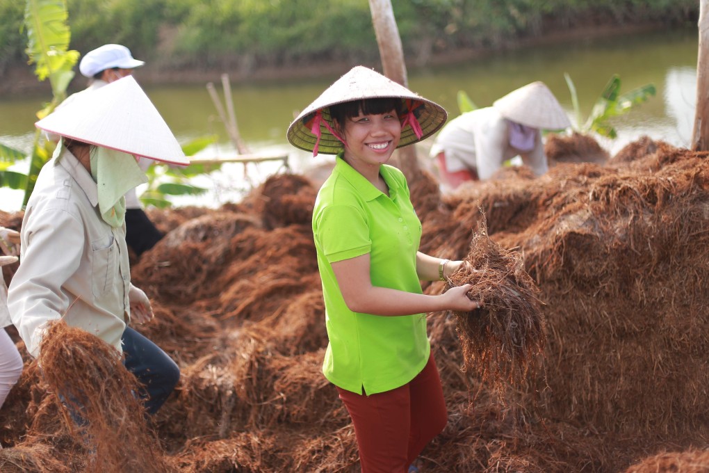 Tran Thi Khanh Trang harvesting rice straw in northern Vietnam. Photo: Far Green