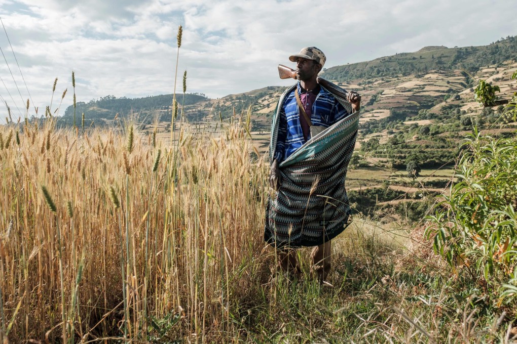 A farmer and militia fighter pictured near the village of Tekeldengy in the Amhara region of Ethiopia on Sunday. Photo: AFP