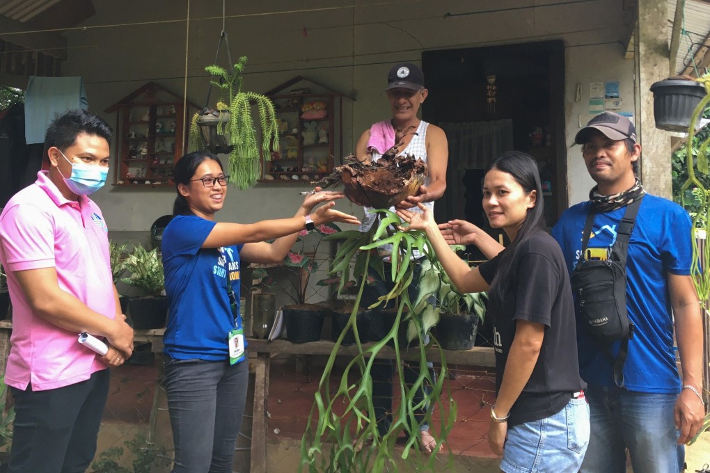Thieves have been targeting plant varieties popular on social media, such as staghorn ferns and pitcher plants. Photo: AFP