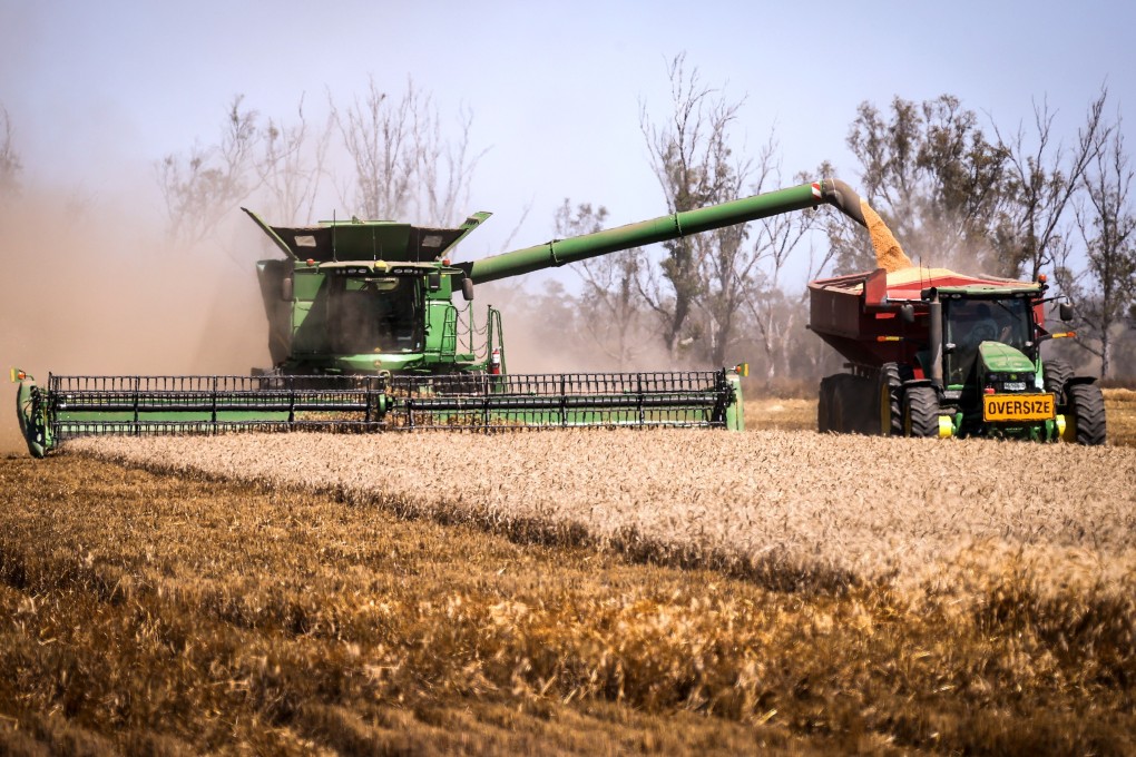 China continues to apply punitive trade actions to Australian exports, with informal bans or import duties targeting products ranging from coal, cotton and timber to wine, lobster and beef. Photo: Bloomberg