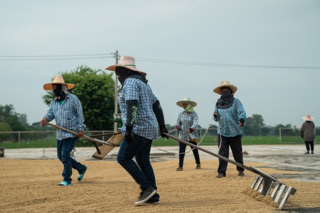Workers rake out rice to dry under the sun at the Chai Nat Rice Research Center in Khao Tha Phra, Thailand. Photo: Bloomberg