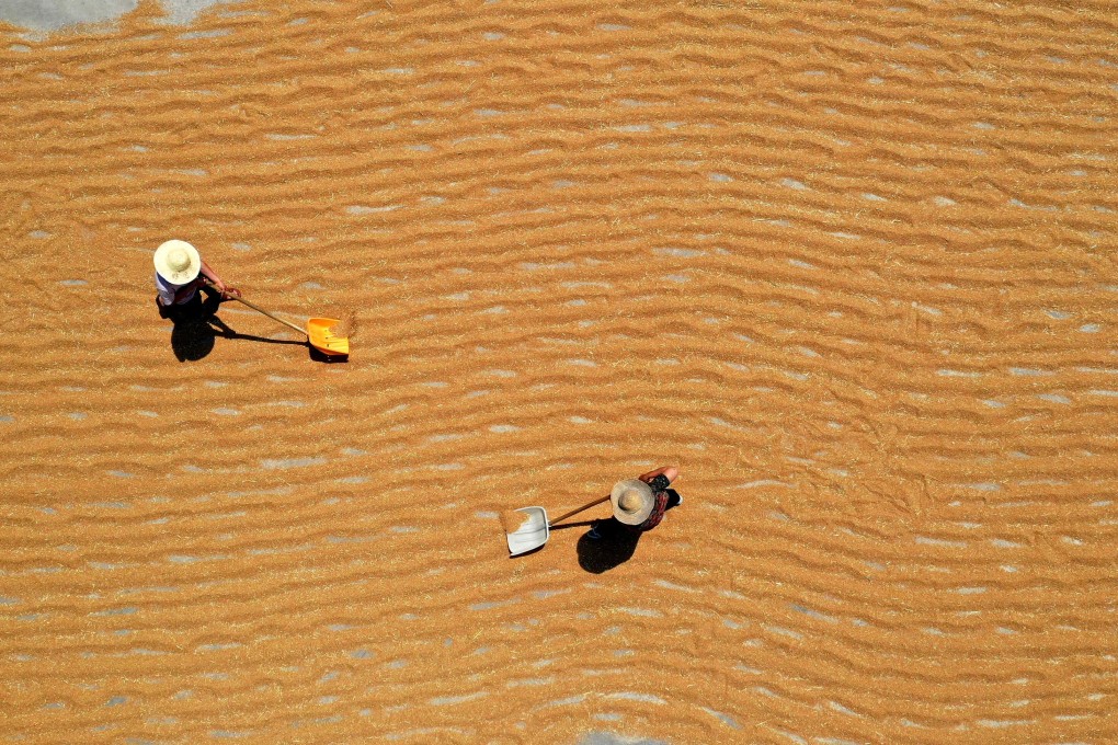 Beijing has elevated grain security to become a strategic goal over the next 15 years. Photo: Xinhua