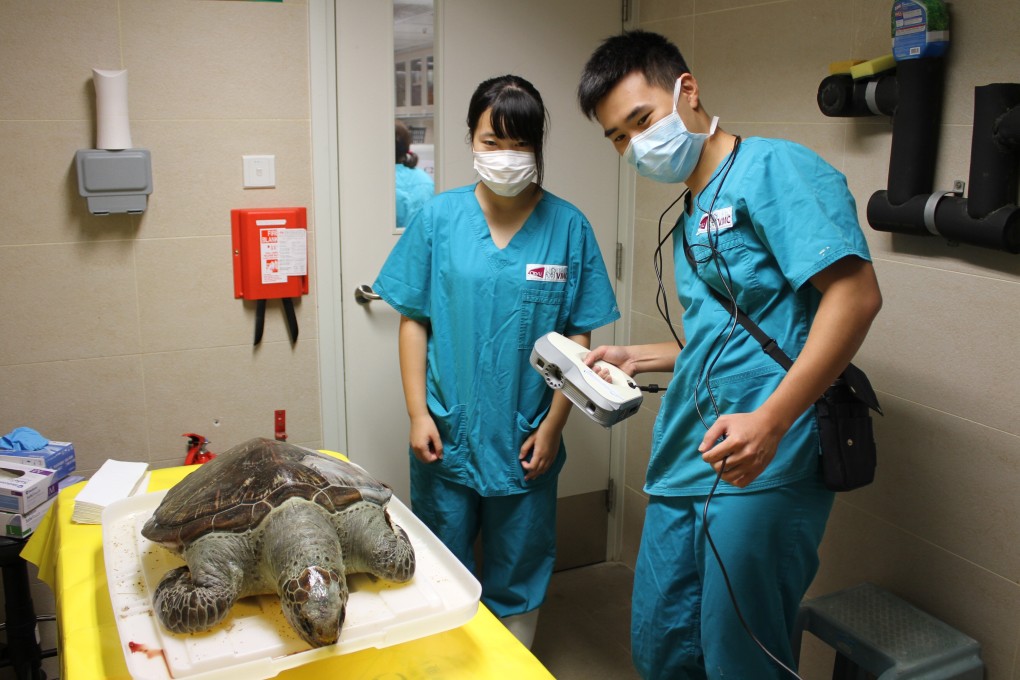 City University of Hong Kong students conduct a 3D surface scan of a sea turtle carcass. Two sea turtles, a protected and endangered species in Hong Kong, died from eating plastic debris last month. Photo: Aquatic Animal Virtopsy Lab
