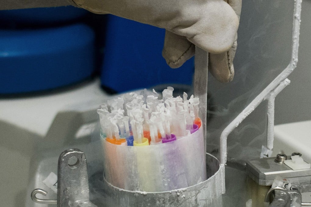 Biological samples are placed in a nitrogen freeze chamber at the Ambroise Pare Clinic in Paris. The vaccine developed by Pfizer must be stored in deep-freezer conditions and requires two doses administered three weeks apart, making it more difficult to deploy the shot effectively. Photo: Bloomberg