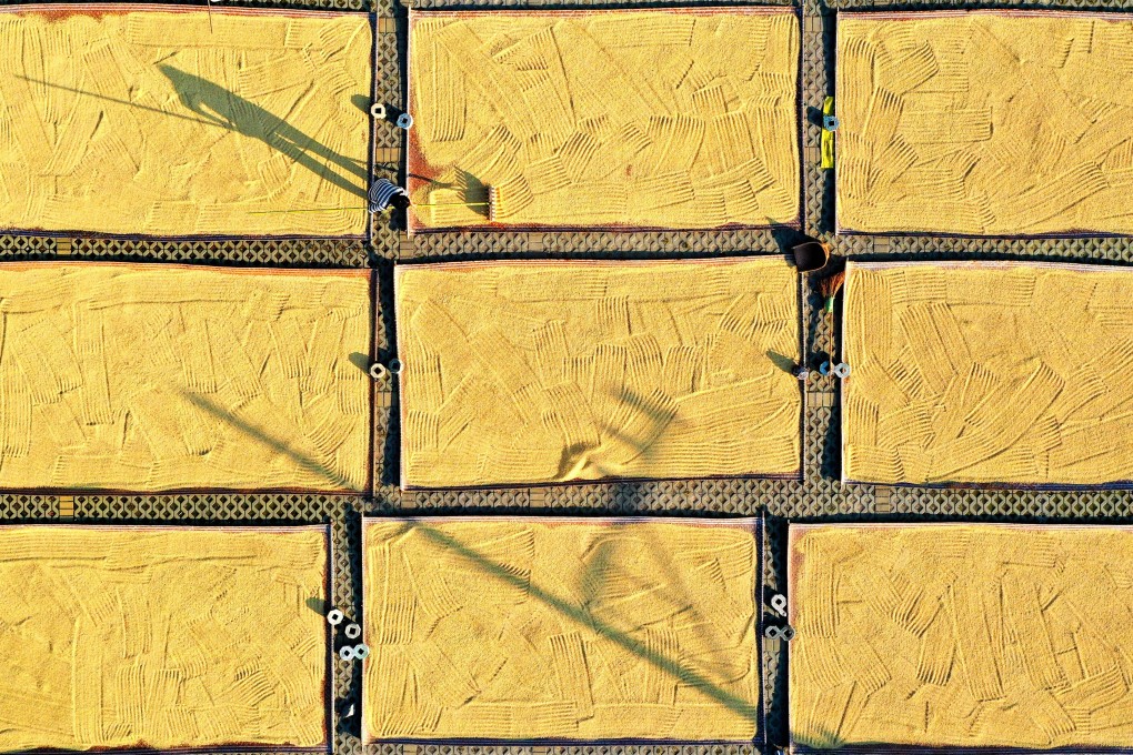 China remains a net exporter of rice, meaning it exports more than it imports. Photo: Xinhua