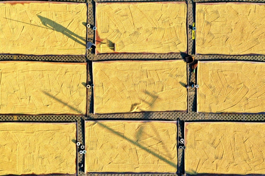 China remains a net exporter of rice, meaning it exports more than it imports. Photo: Xinhua