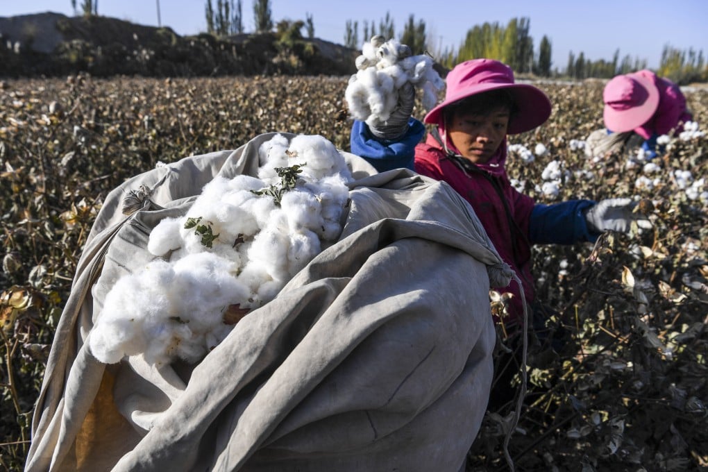 Xinjiang accounts for 20 per cent of all the cotton in the world, 80 per cent of China’s cotton and 50 per cent of global spinning capacity. Photo: Xinhua