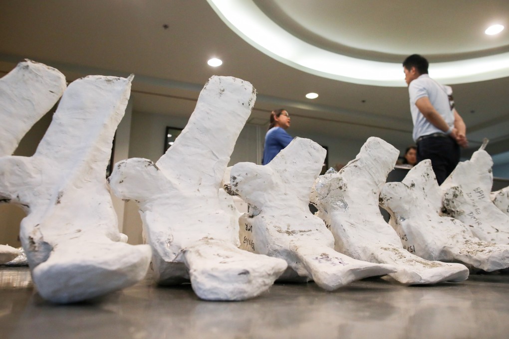 Thai archaeologists stand next to a whale skeleton in Pathum Thani, Thailand on Friday. Photo: Reuters