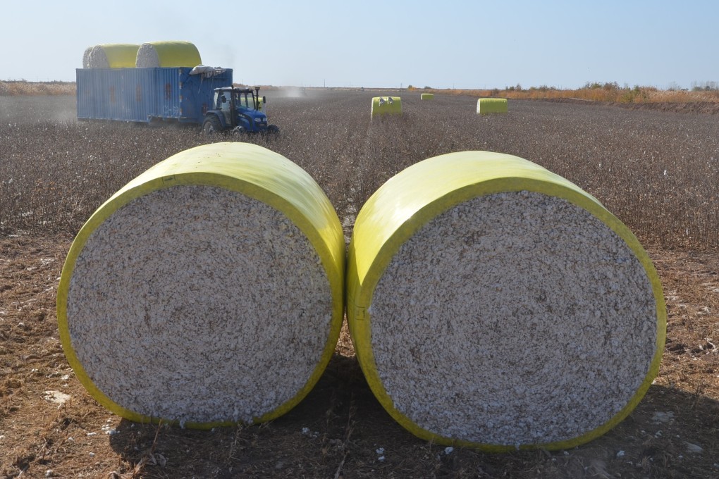 US customs has blocked imports from Xinjiang Production and Construction Corps (XPCC) over alleged forced labour. Photo: Imaginechina