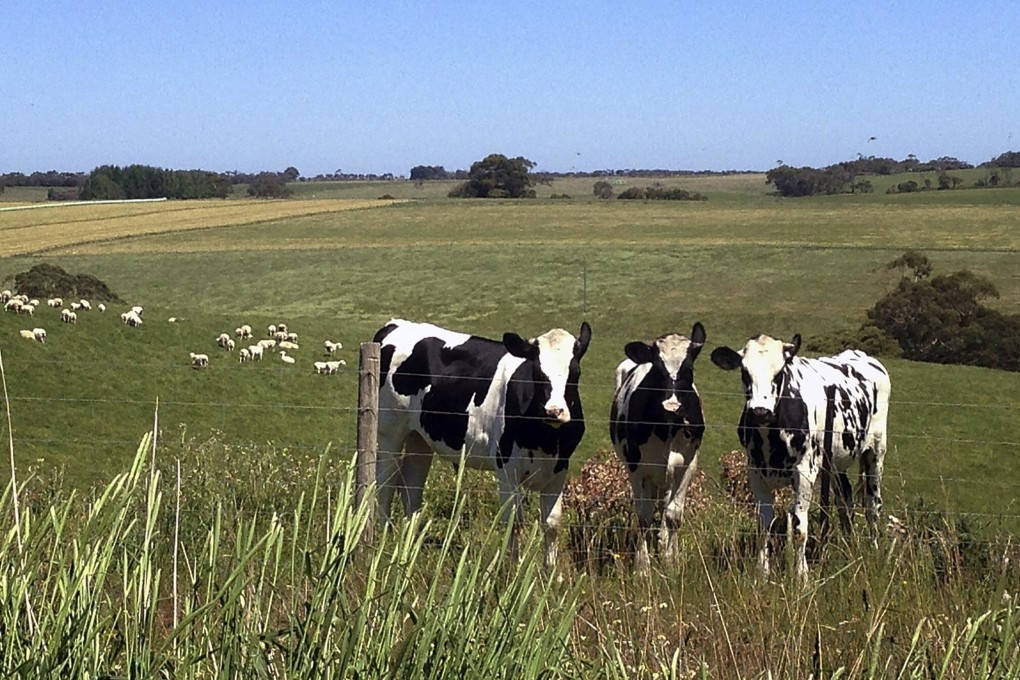Meramist joins five other Australian abattoirs that have been suspended from exporting beef products to China. Photo: Reuters
