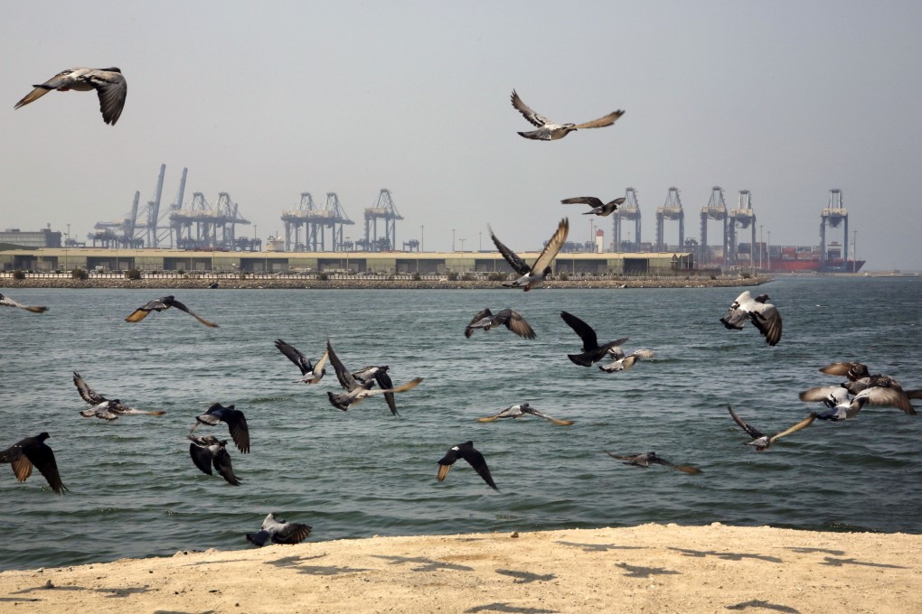 Seagulls fly in front of the Red Sea port city of Jeddah, Saudi Arabia. An explosion rocked a ship off the port in the early hours of the morning, officials said. Photo: AP