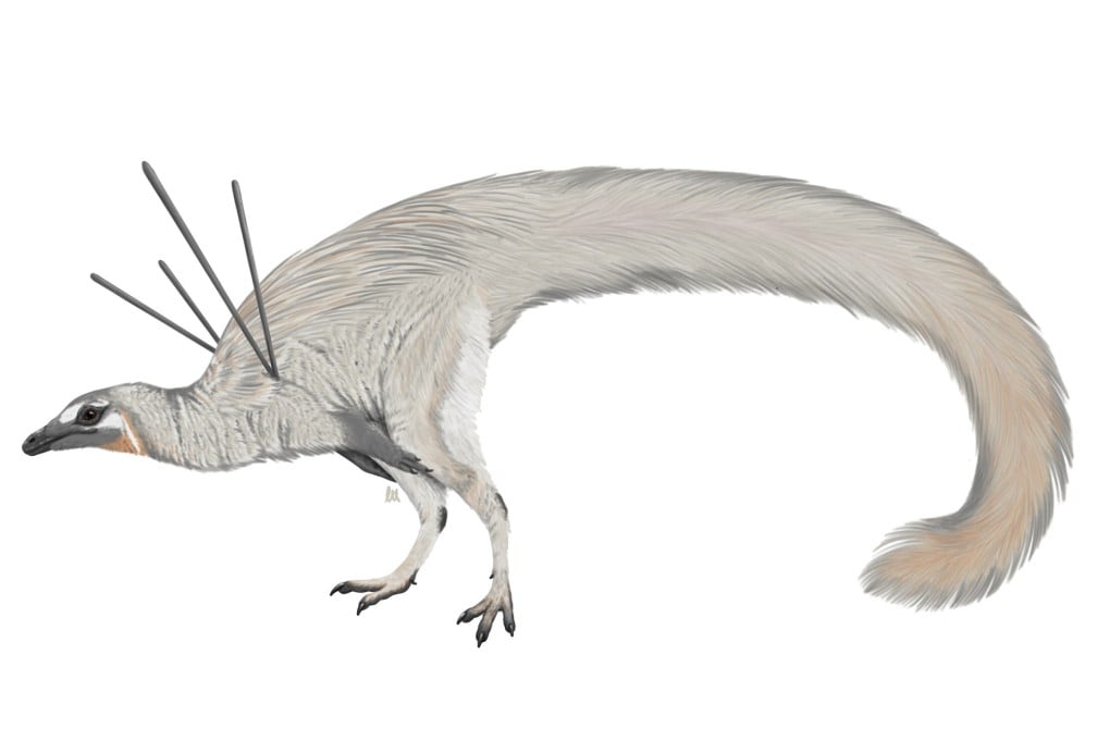 A reconstruction of Ubiraja jubatus, a dinosaur with “hair” and “ribbons”. Image: Luxquine, CC BY-SA 4.0