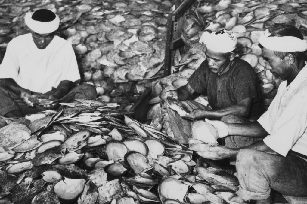 Workers grade and sort mother-of-pearl shells at Broome, Western Australia, in 1953. The town, long a centre of the pearling industry, drew migrants from Japan and Southeast Asia, who several times came into conflict. Photo: Frank Hurley for National Library of Australia