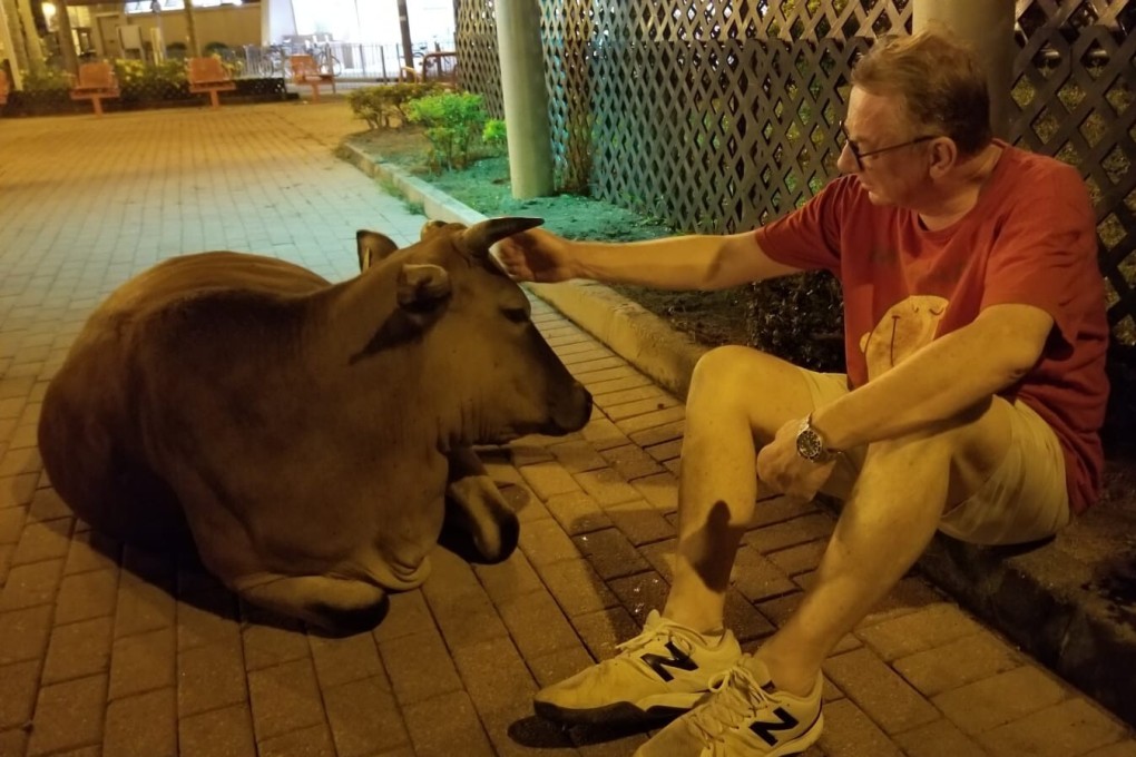 Neil talking to “582”. Photo: Neil Newman