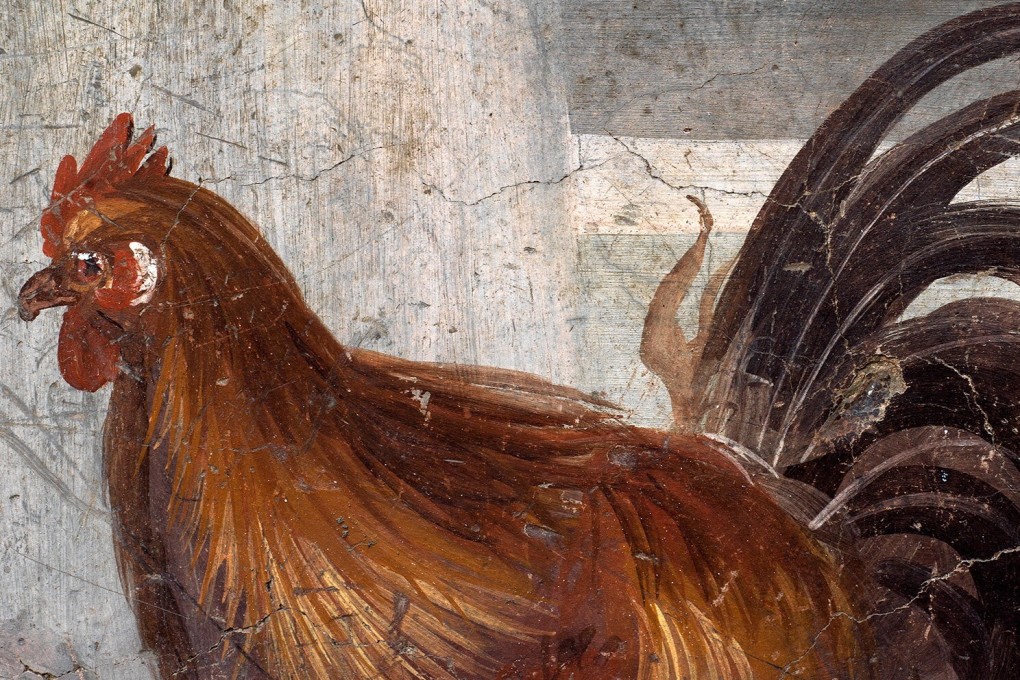 A fresco on an ancient counter depicting a rooster that was uncovered during excavations in Pompeii, Italy. Photo: Pompeii Archaeological Park / Ministry of Cultural Heritage and Activities and Tourism / Reuters