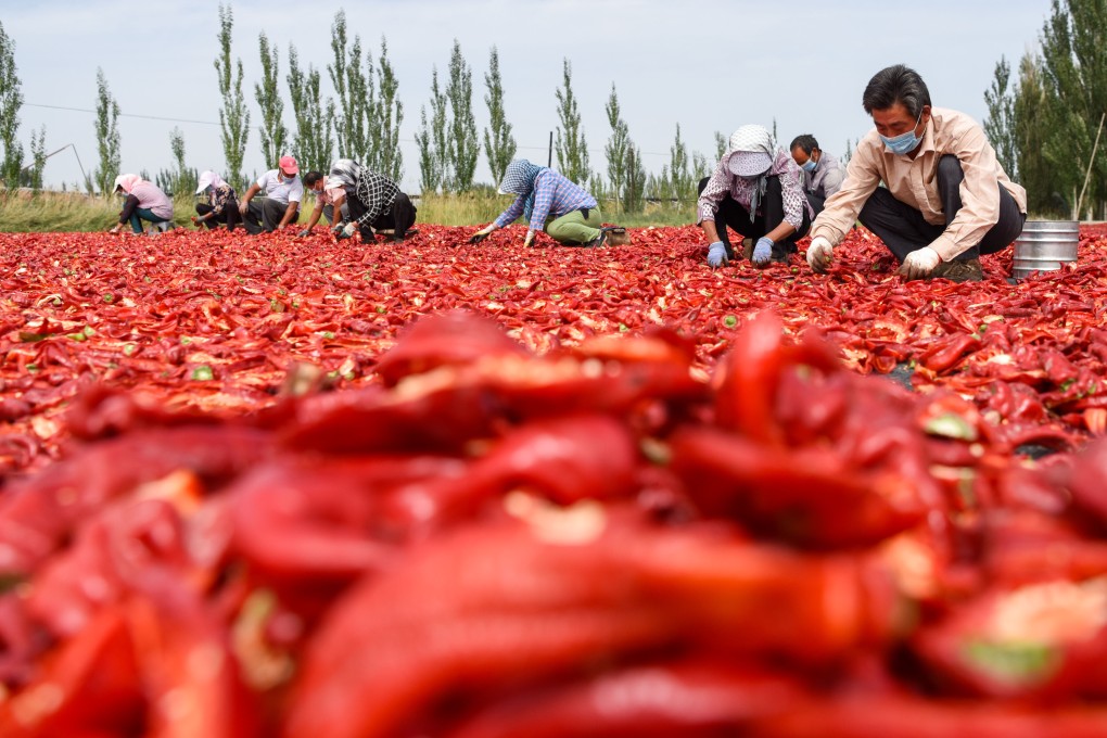 Boosting rural incomes and improving efficiency in the agricultural sector will be priorities for China next year. Photo: Xinhua