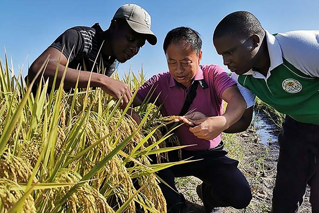 Hundreds of Chinese experts are working with their African colleagues to help improve agricultural crop yields. Photo: Handout