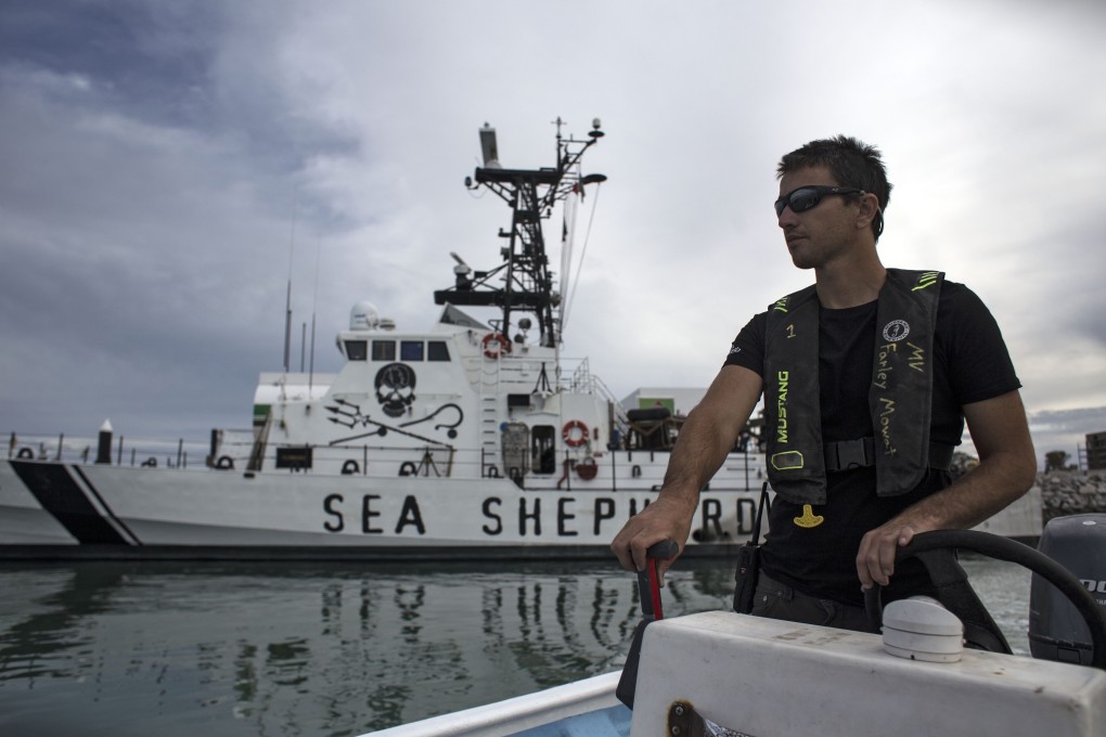 A crew member of Sea Shepherd’s Farley Mowat pilots a boat in the Gulf of California in this 2018 file photo. Photo: AFP