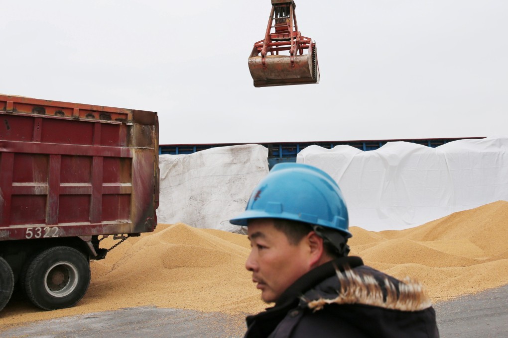 China’s new agricultural minister says the nation will strive to keep its soybean acreage above 9.33 million hectares (23 million acres) to secure greater self-sufficiency in edible soybeans. Photo: Reuters