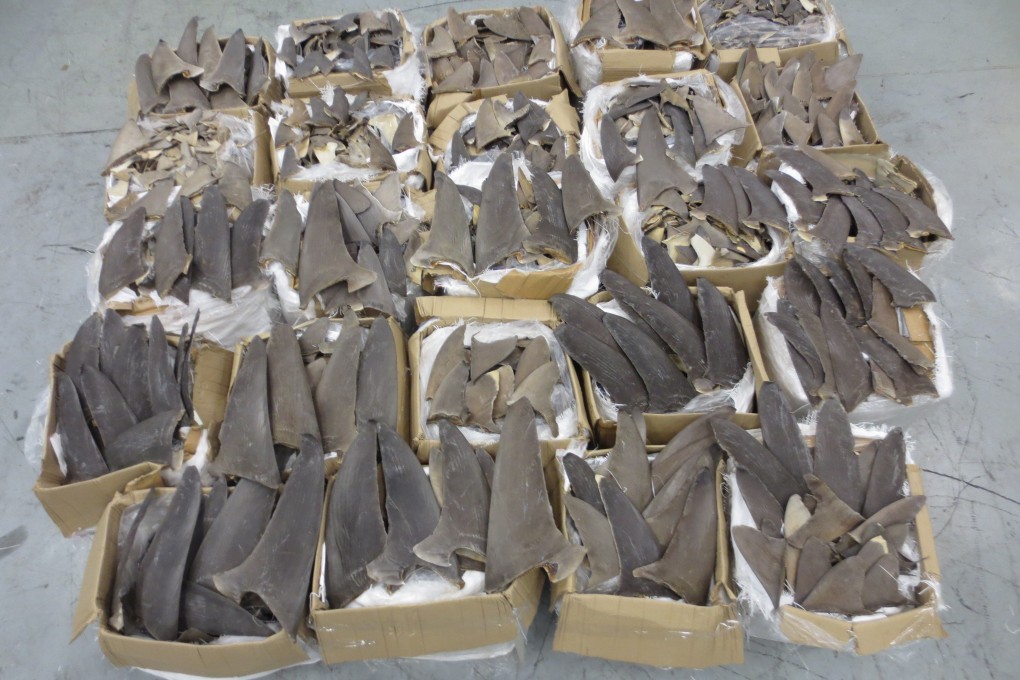 Customs officers also seized more than one tonne of shark fins at the airport. Photo: Handout
