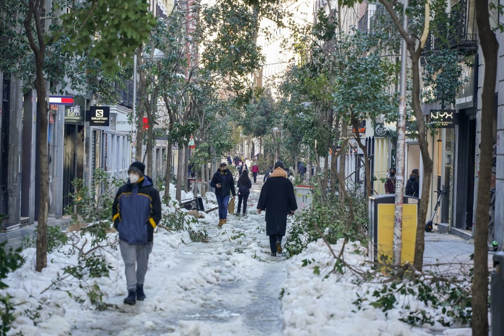 Trees damaged by heavy snowfall are seen on a shopping street in central Madrid, after a sub-zero blast hit the country. Photo: Bloomberg