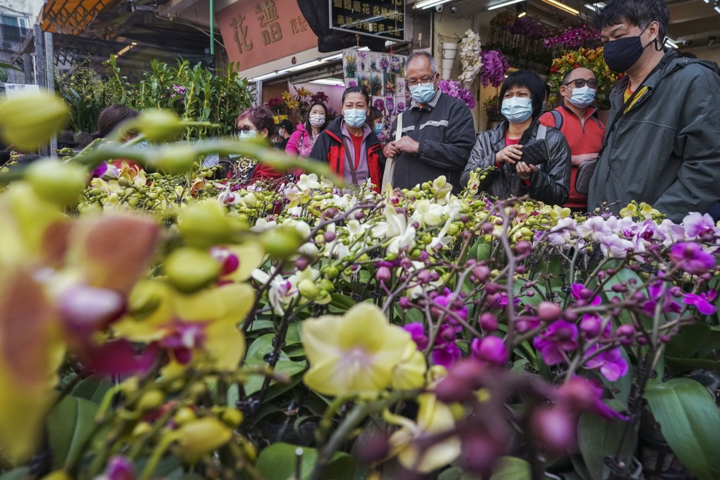 Customers check out festive blooms at the flower market in Prince Edward. Photo: Felix Wong