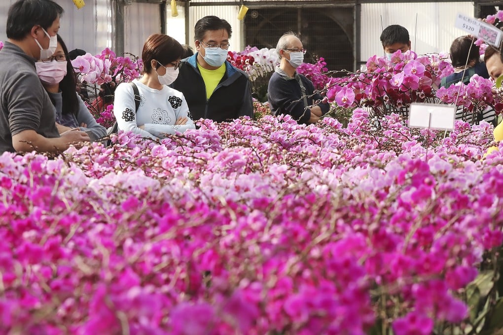 Hongkongers choose orchids at Chiba Orchid Farm in Yuen Long. Photo: K.Y. Cheng