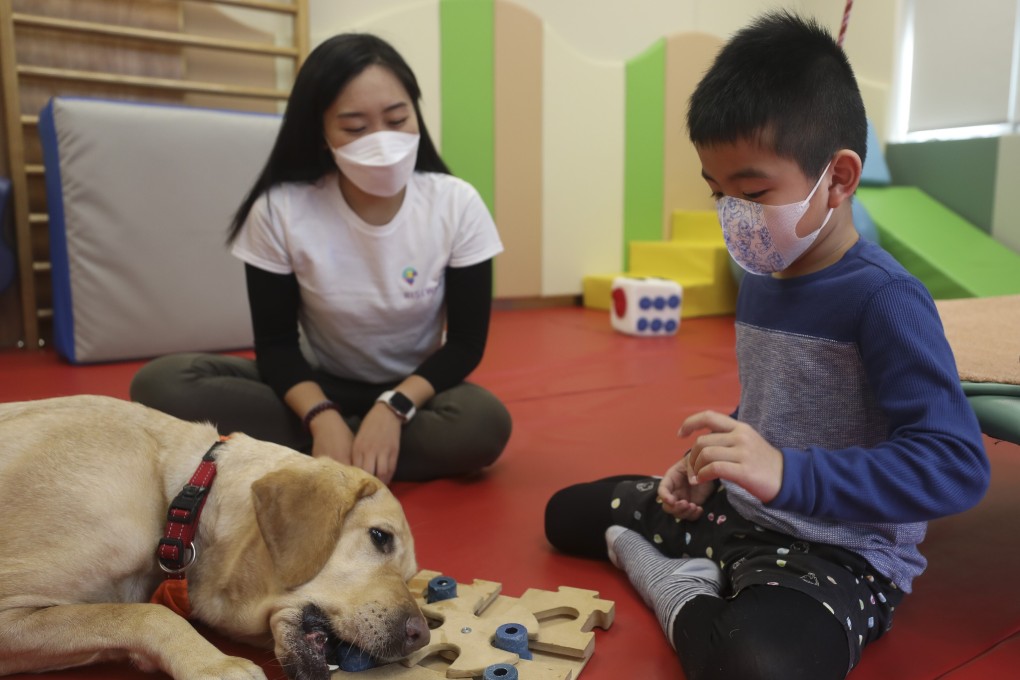 Therapy dog for child with anxiety discount