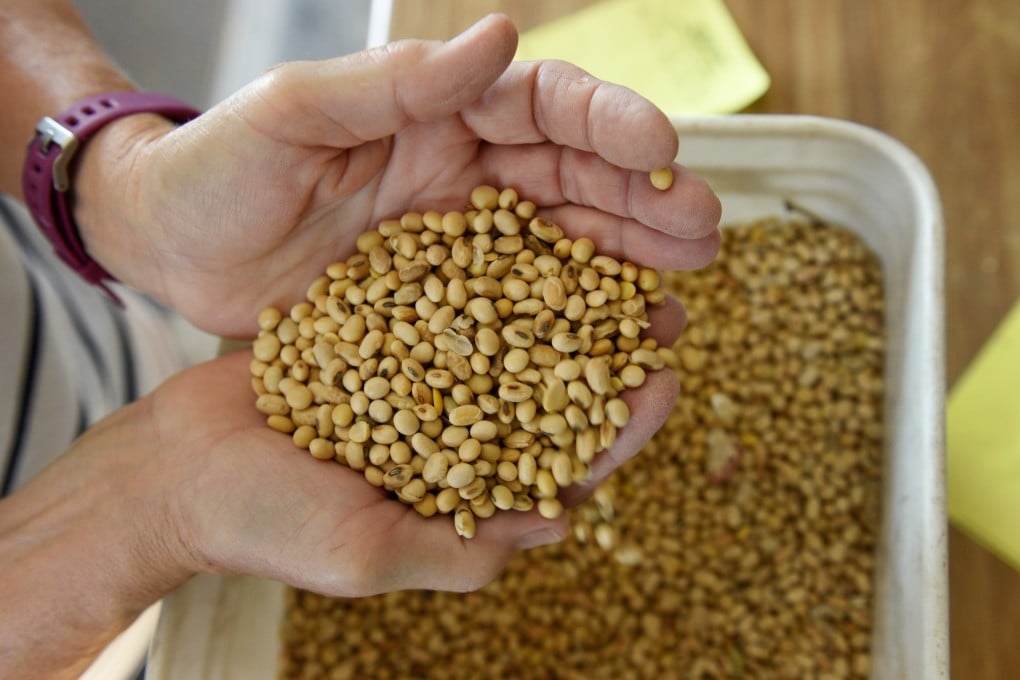 There was a 52.8 per cent year-on-year increase in Chinese imports of soybeans from the US last year, as China’s hog herd recovered and its pigs needed more food. Photo: Reuters