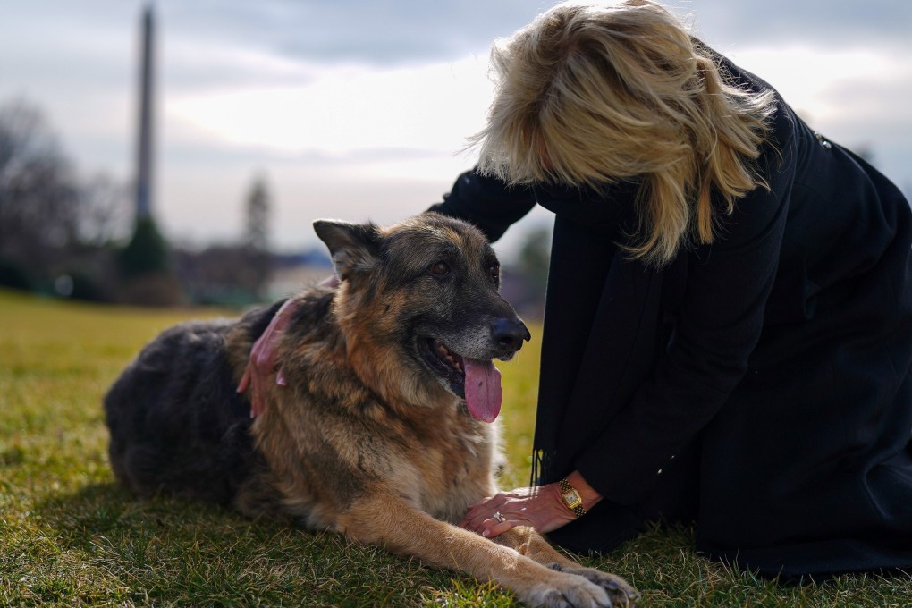 US first lady Jill Biden pets first dog Champ outside the White House on Sunday. Photo: White House handout via EPA-EFE