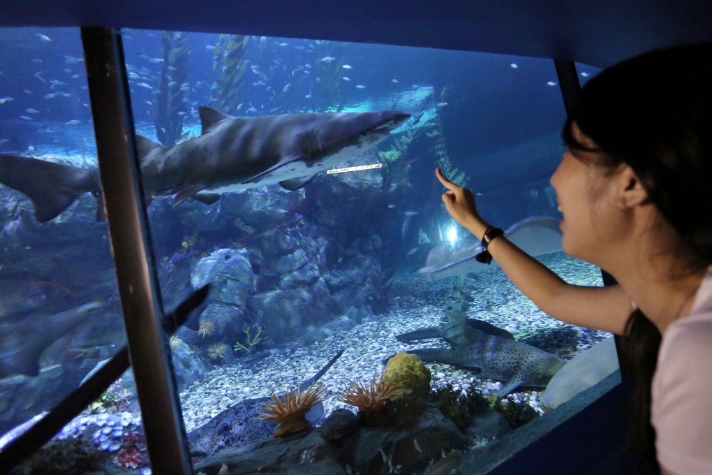 Ocean Park’s Shark Mystique attraction after its grand opening in June 2014. Photo: Jonathan Wong