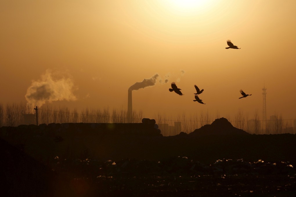 China has set a target of becoming carbon neutral by 2060. Photo: Reuters