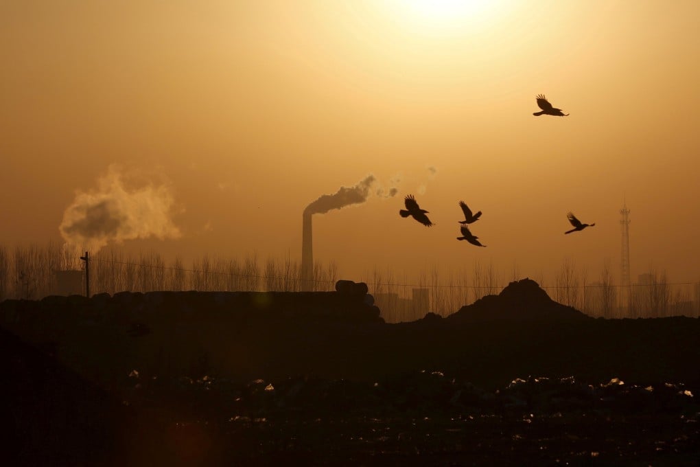 China has set a target of becoming carbon neutral by 2060. Photo: Reuters