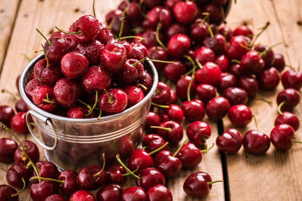 Chilean authorities are going all-out to protect the reputation of its cherries – one of the country’s key exports to China. Photo: Shutterstock