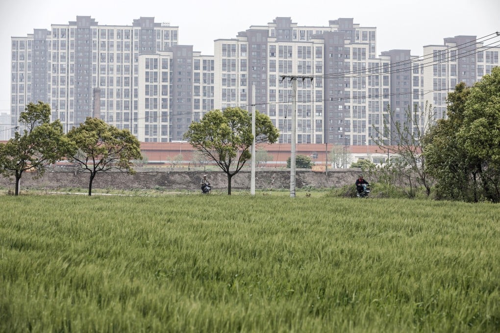 Rice grows in a field as residential buildings stand in the background on the outskirts of Shanghai on Monday, April 17, 2017. Photo: Bloomberg
