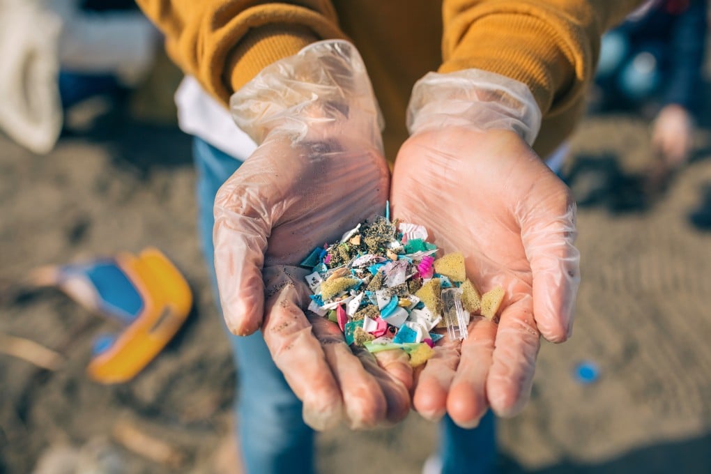 Plastic bottles, bags, wrapping and packaging wash up daily on our beaches. Over time, these plastics disintegrate and can enter our ecosystem. Photo: Shutterstock