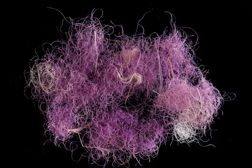 A fragment of purple fabric excavated from the Timna Valley, an ancient copper production district, in southern Israel. Photo: HO / Israel Antiquities Authority / AFP