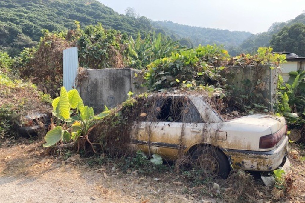 One careful owner. Photo: Neil Newman