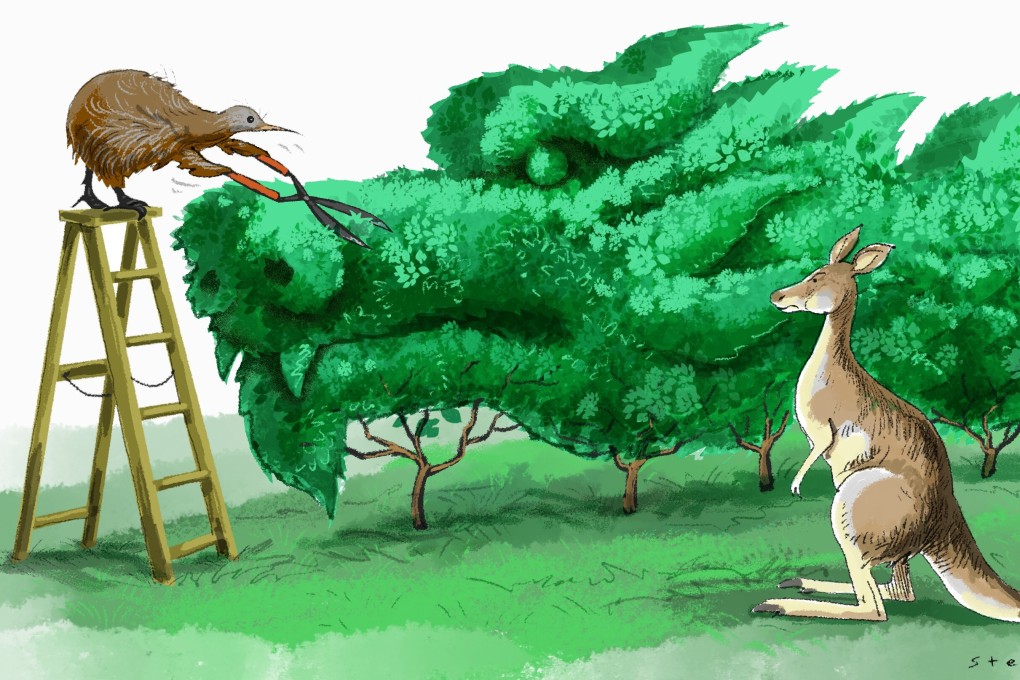 Illustration: Craig Stephens