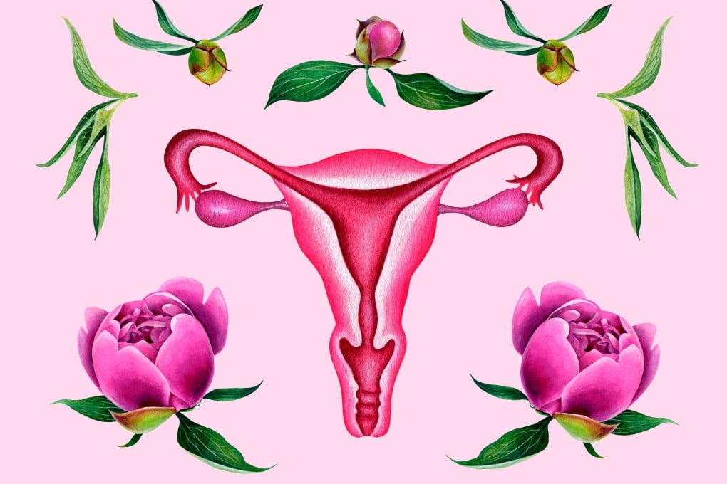 An illustration of the female reproductive system. The vagina is a mystery to many – including to some people who actually have one. Photo: Shutterstock